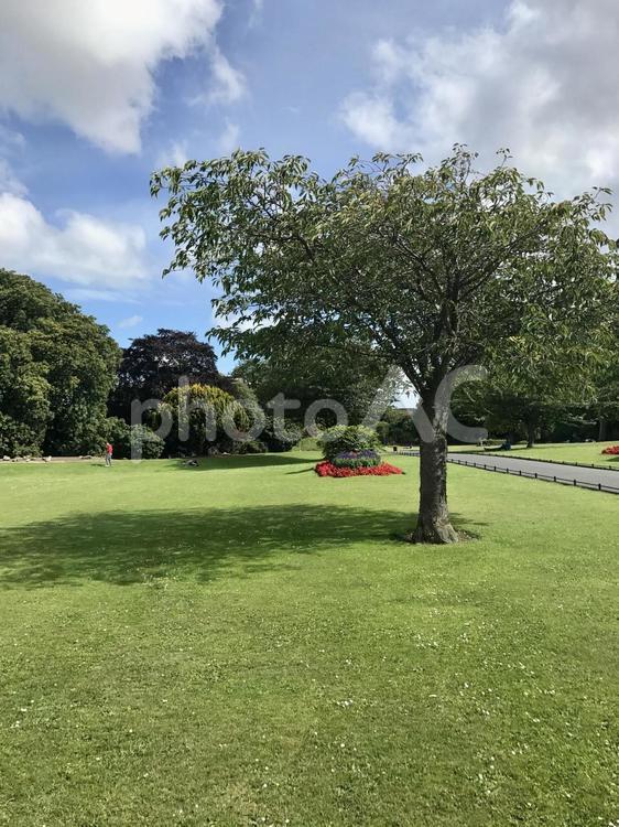 アイルランド、郊外の自然（空と公園） 海外,ヨーロッパ,アイルランドの写真素材