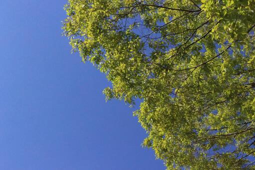 空 空の写真