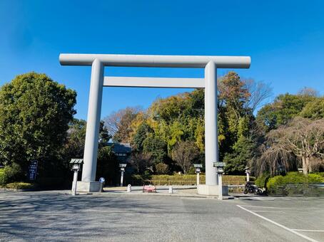 櫻木神社　大鳥居 櫻木神社,千葉県野田市,神社の写真素材