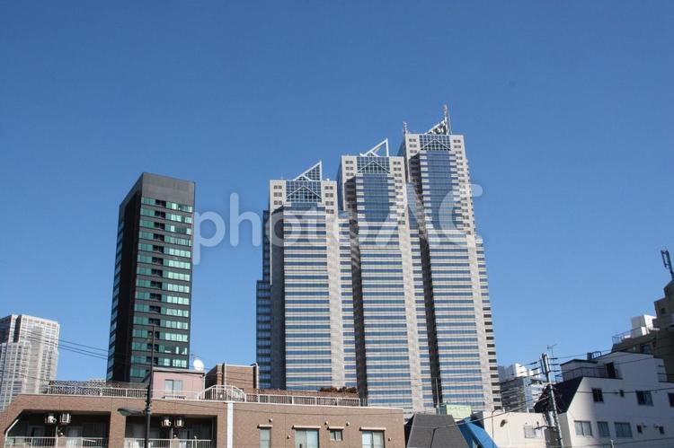 高層部ビルと快晴の空（新宿パークタワー） ビル,高層ビル,建物の写真素材