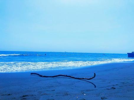 茅ヶ崎の青い空と海と木②ーブルー 茅ヶ崎,海,空の写真素材