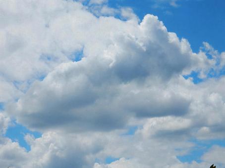 【空の写真】夏空 【空の写真】夏空の写真