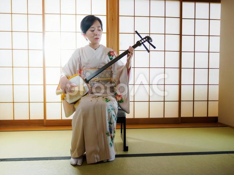 33：和服で三味線を演奏する女性 三味線,伝統芸能,和楽器の写真素材