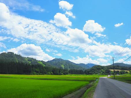 夏の景色21 夏の景色21の写真