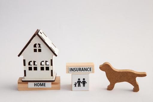 家とペットの模型 保険,ペット保険,住宅保険の写真素材