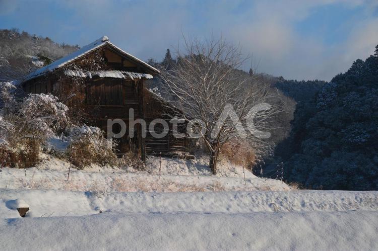 厳冬の古民家 雪,冬,冷たいですの写真素材