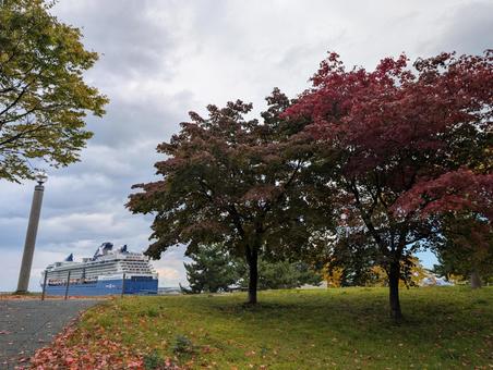 紅葉とクルーズ船 雲,紅葉,落ち葉の写真素材