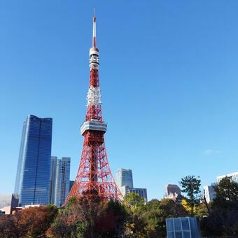 青空と東京タワー 東京タワー,青空,ビルの写真素材