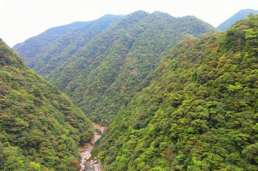 徳島県-祖谷渓-みどりの一里塚松尾 徳島県-祖谷渓-みどりの一里塚松尾 祖谷渓,渓谷,秘境の写真素材