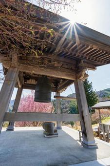 250421信濃比叡廣拯院 250421信濃比叡廣拯院の写真