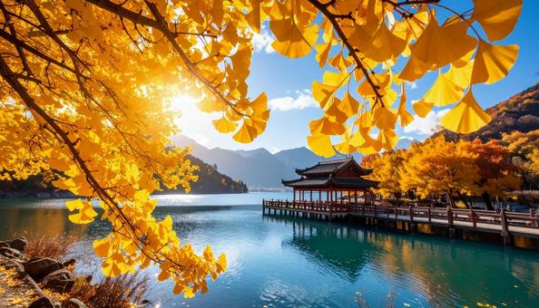 紅葉の風景 紅葉の風景の写真