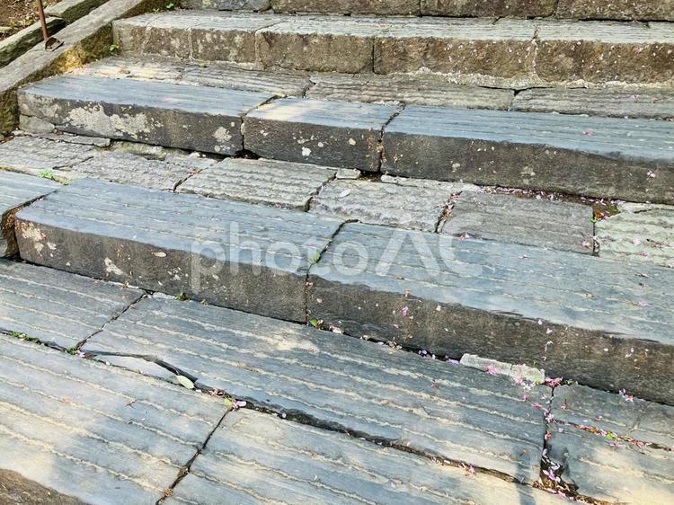 塩釜神社　表坂　石段 塩釜神社,鹽竈神社,宮城県塩竈市の写真素材