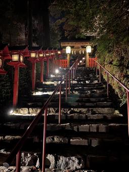 貴船神社 夜,ライトアップ,紅葉の写真素材