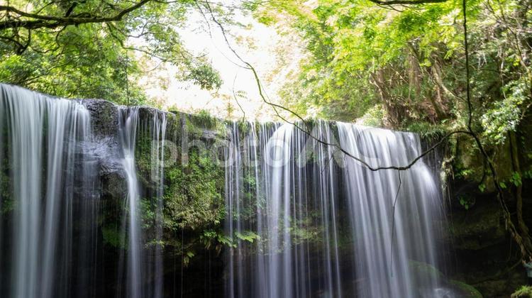 滝（熊本県鍋ヶ滝） 滝,自然,川の写真素材