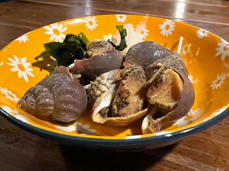 つぶ貝 つぶ貝 つぶ貝,煮物,お通しの写真素材