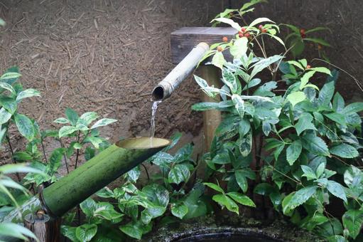 緑の植物と鹿威しのある庭の風景 緑の植物と鹿威しのある庭の風景の写真
