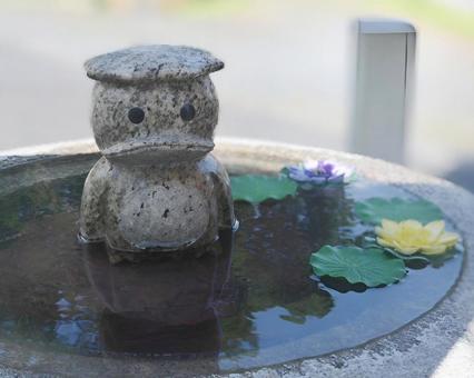 カッパと残暑 カッパと残暑の写真
