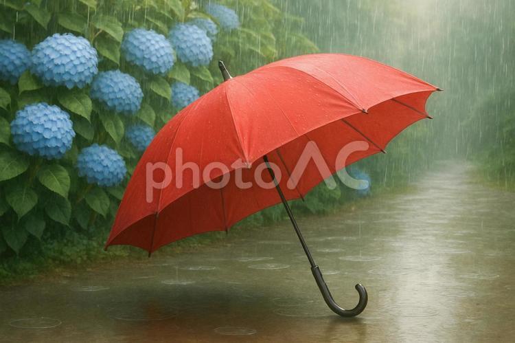 雨の日　梅雨イメージ 梅雨,雨,雨の日の写真素材