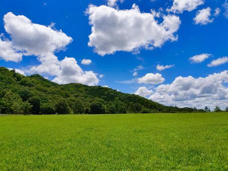 夏の日 夏の日 夏の日,芝生,山の写真素材