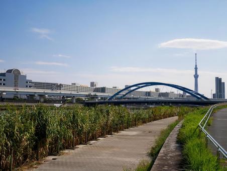 首都高とスカイツリーの見える公園 東京,荒川区,南千住の写真素材