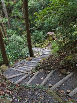 山道の階段 階段,登山,下山の写真素材