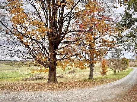 カナダの牧場からの眺め カナダの牧場からの眺め 秋,紅葉,田舎の写真素材