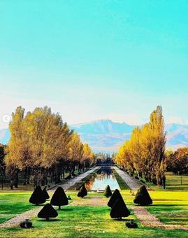 前田森林公園の秋景色 前田森林公園の秋景色 秋景色,紅葉,公園の写真素材