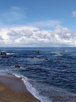 海の中のツン! 海の中のツン!の写真