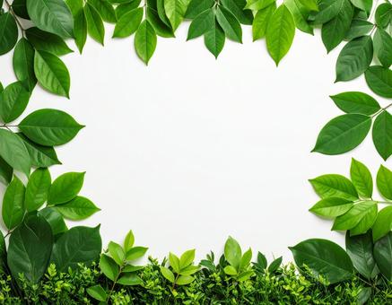 緑が彩るナチュラルなテキストスペース素材の写真