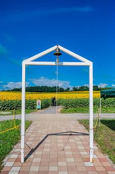 北海道 北竜町ひまわりの里 北海道 北竜町ひまわりの里 北海道,日本,北竜の写真素材