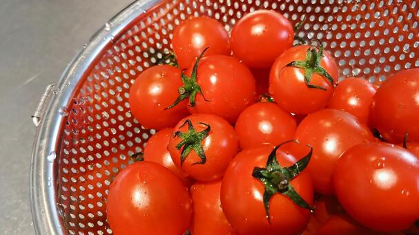 プチトマト プチトマト,トマト,ミニトマトの写真素材