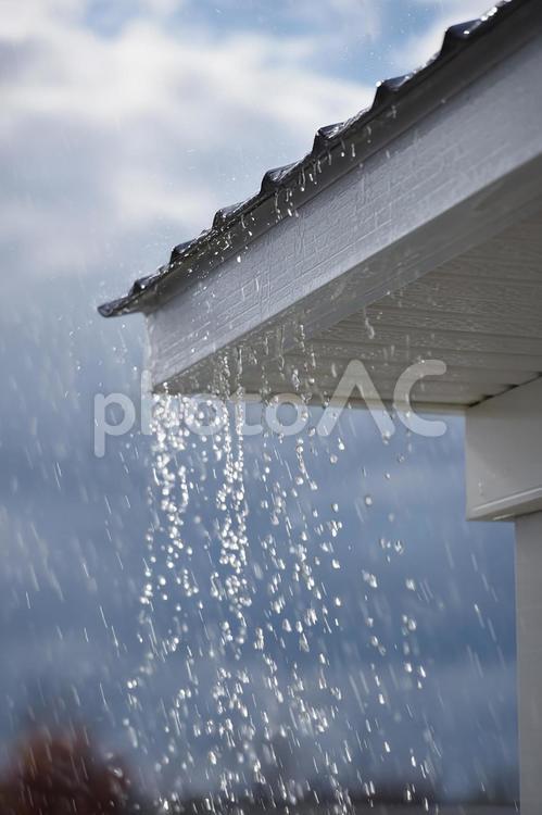 激しい雨、屋根のしずく 雨,雨樋,屋根の写真素材