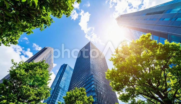 日差しが差す都市風景 都市風景,街並み,未来の写真素材