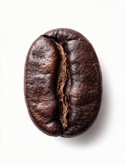 美しい光沢を持つコーヒー豆 美しい光沢を持つコーヒー豆の写真