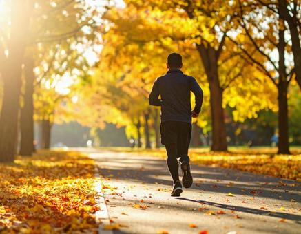 落ち葉の公園を走る朝のランニング 落ち葉の公園を走る朝のランニングの写真