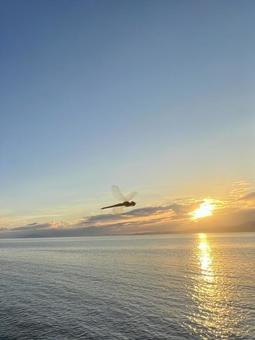 トンボと海 トンボと海 雲,空,海の写真素材
