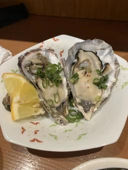 生かき かき,牡蠣,生かきの写真素材