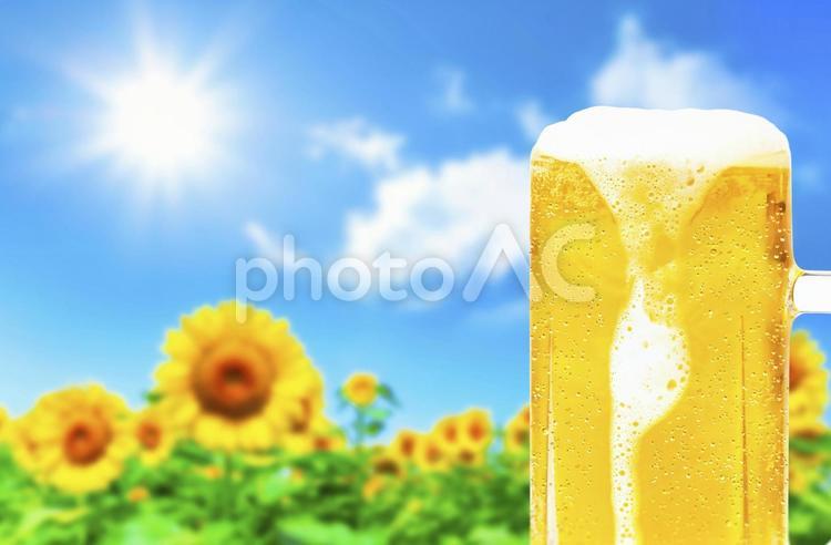 ひまわりの背景と泡が垂れた水滴のついたジョッキビールの画像 ビール,ジョッキ,生中の写真素材