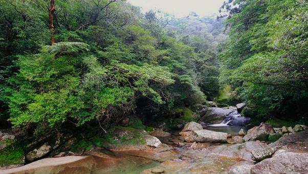流れが穏やかな川の写真