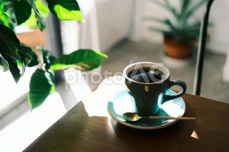朝日が差し込むテーブル上のコーヒーカップ コーヒー,喫茶店,カフェの写真素材