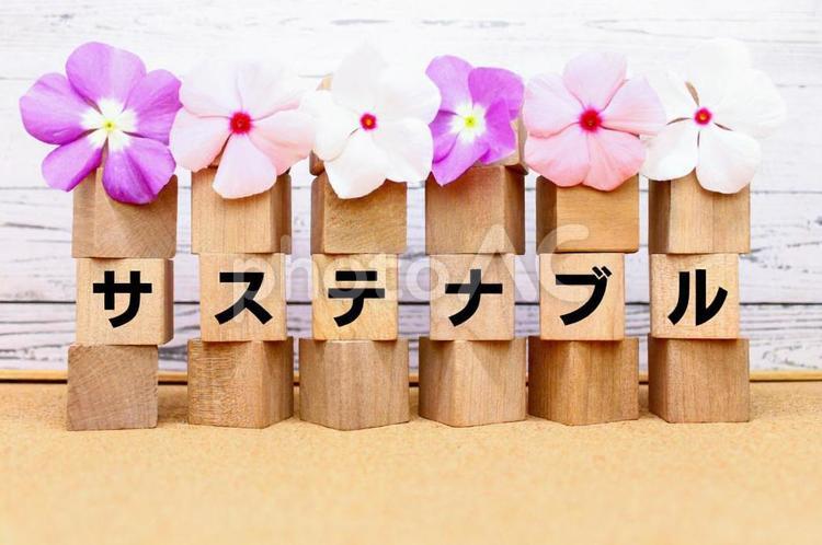 地球に優しい6文字の言葉【サステナブル】 素材,イメージ,イメージ素材の写真素材