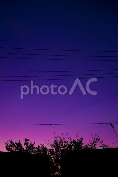 美しい夕焼けと電線シルエット 夕焼け,空,夕焼け空の写真素材