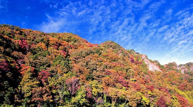 紅葉の秋の立久恵峡 紅葉の秋の立久恵峡 紅葉,秋,立久恵峡の写真素材
