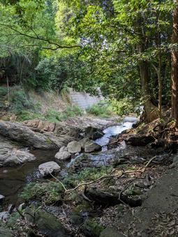 小川 小川 小川,四国中央市,夏の写真素材