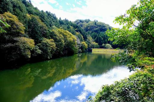 兵庫県立ゆめさきの森公園 兵庫県立ゆめさきの森公園の写真