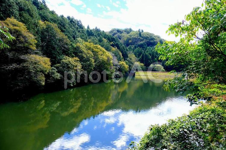 兵庫県立ゆめさきの森公園 山,木々,池の写真素材