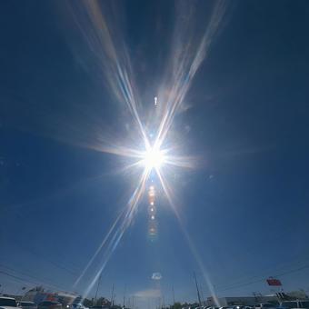 まっすぐに空を見上げる、太陽の輝き まっすぐに空を見上げる、太陽の輝きの写真