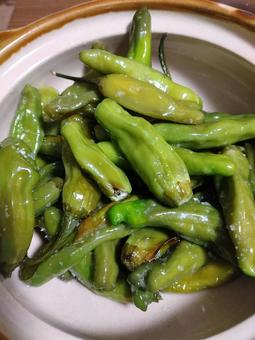 シシトウ シャキシャキ,野菜,シシトウの写真素材