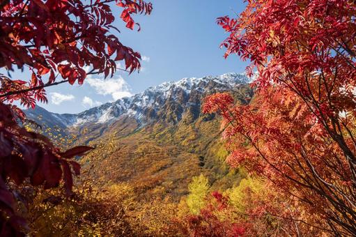Autumn rowan leaves and snowy mountains, JPG