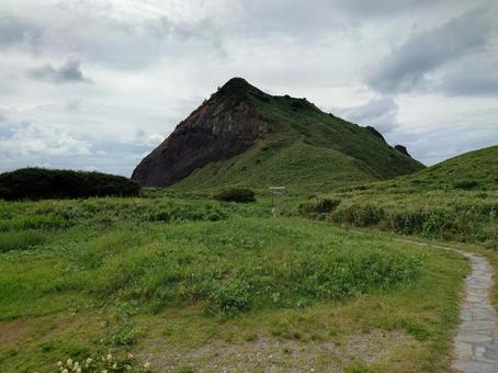 自然 自然の写真